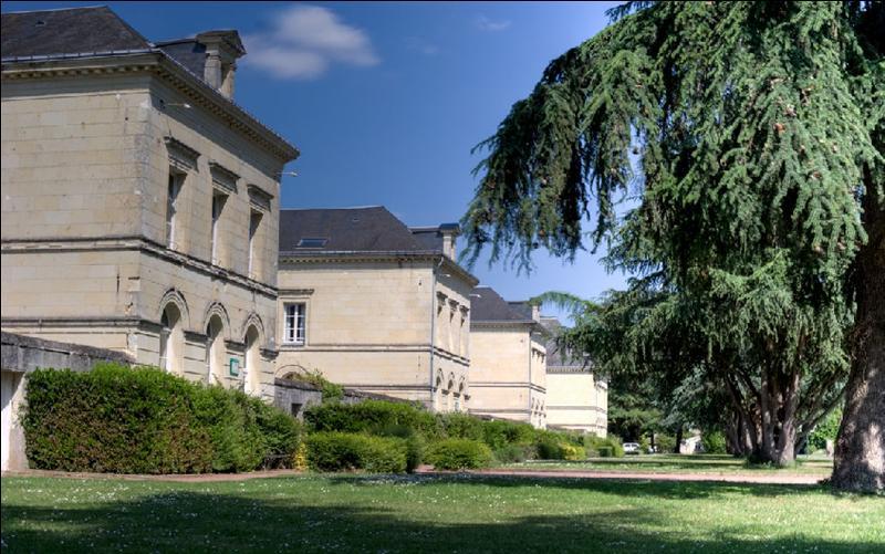 Domaine De Roiffe Otel Dış mekan fotoğraf